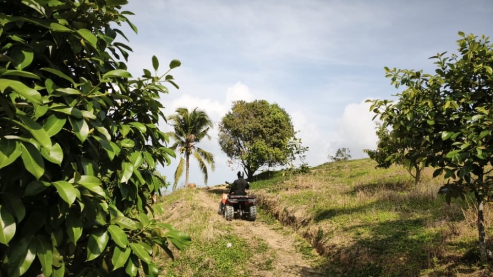 atv-quad-tours-koh-samui