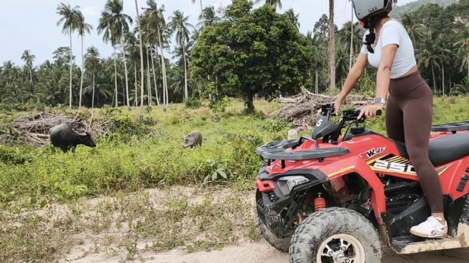 kohsamui-atv-jungle-tours
