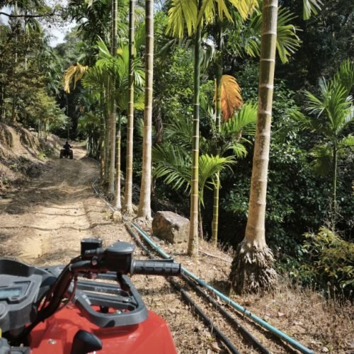 kohsamui-jungle-quad-atv