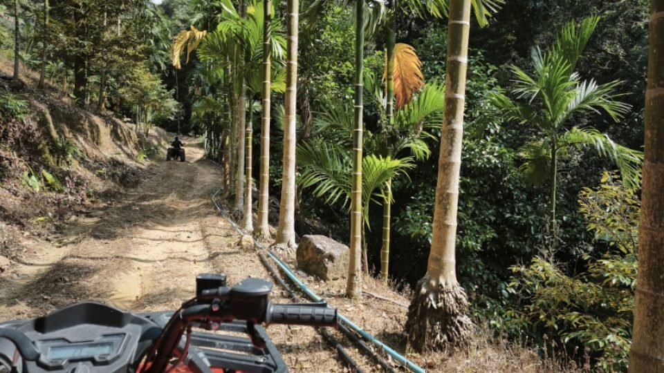 kohsamui-jungle-quad-atv