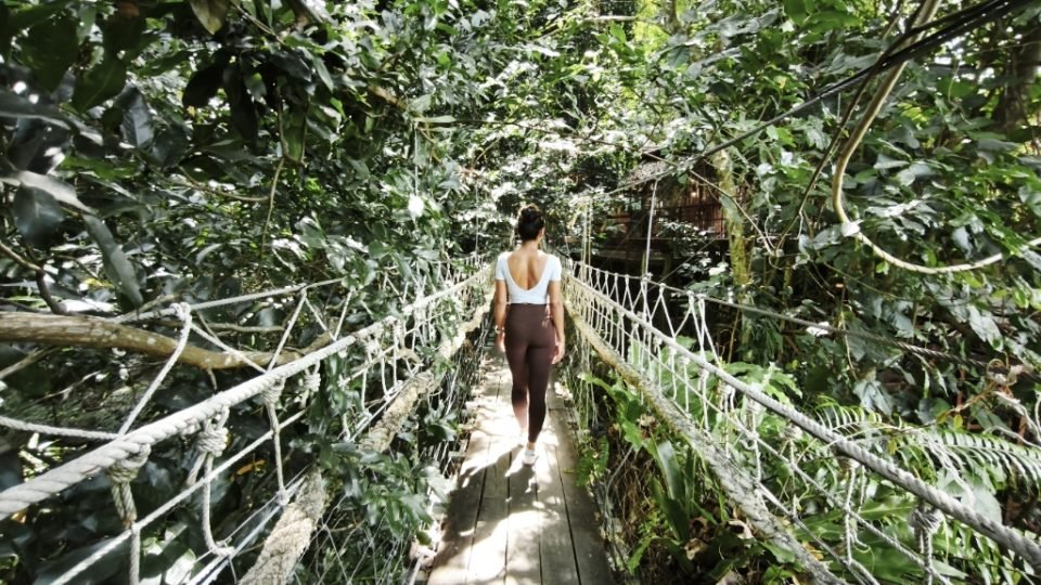 kohsamui-tours-jungle