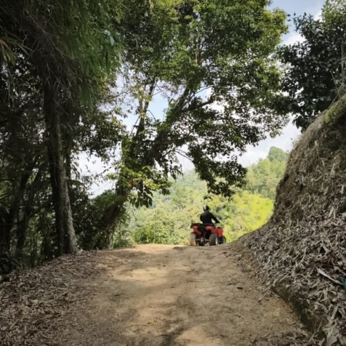 kohsamui-trail-adv-quad-tours